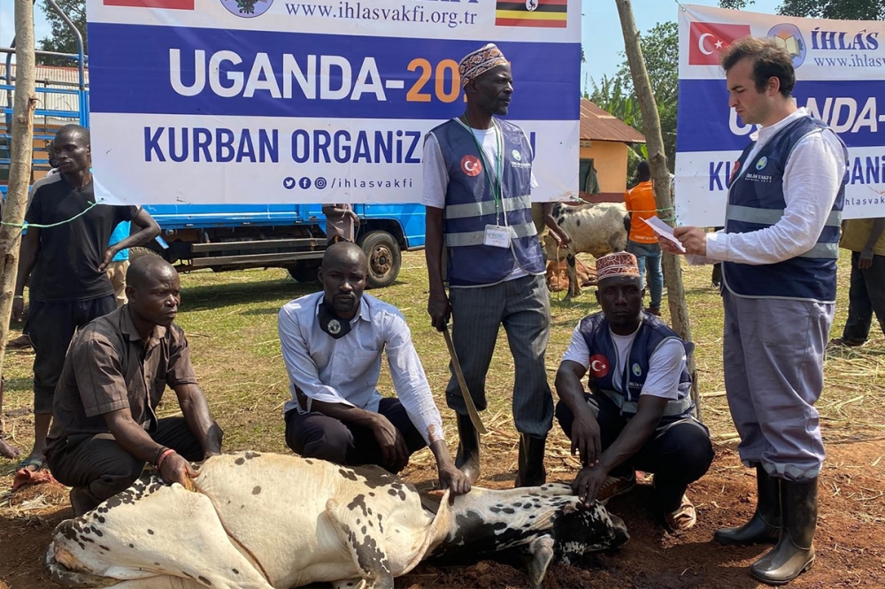 İhlas Vakfı Kurban Hisse Vekâlet Bedellerini Açıkladı